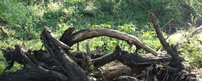 Buchtrup Universal grenknuser